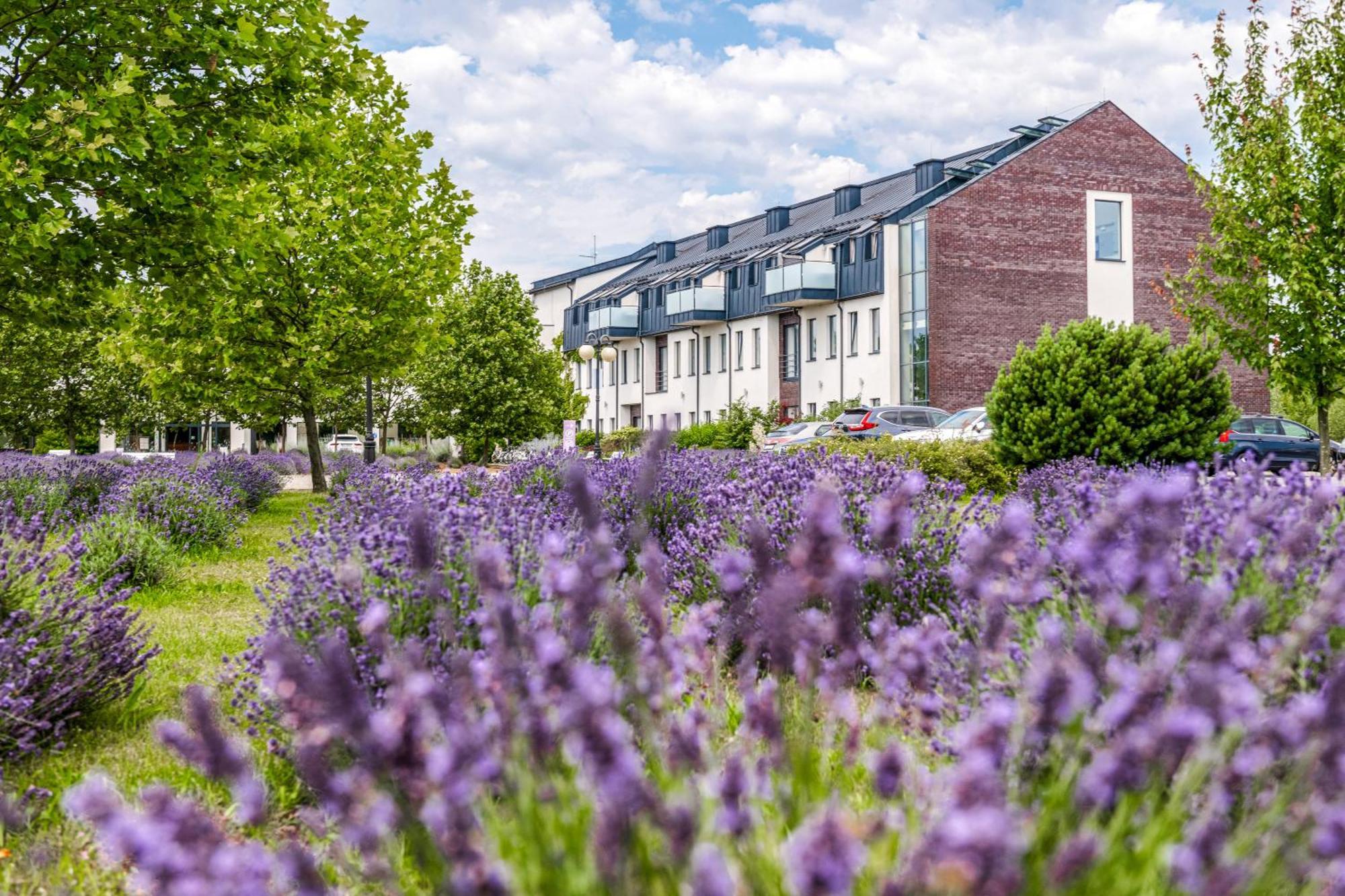 Lawendowe Termy Hotel Uniejow Exterior foto